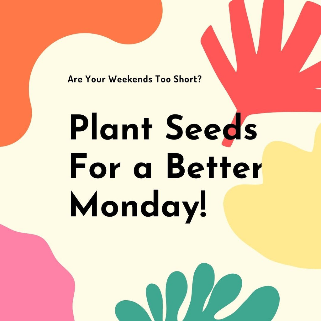 Plant Seeds on Monday